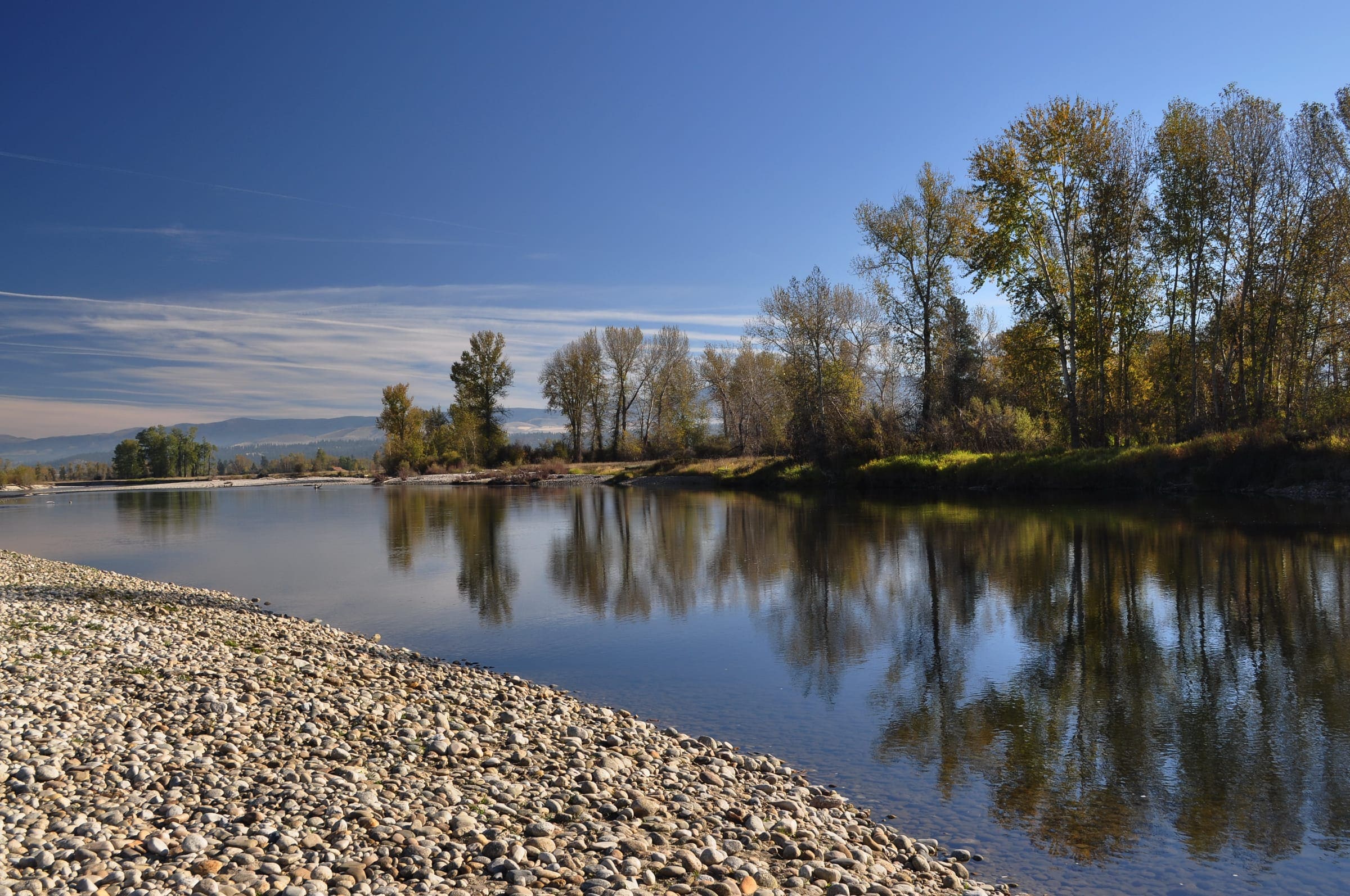 The Bitterroot River running low over a gravel bar near Victor, Montana, cottonwoods reflected in still water
